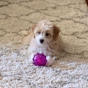 Meet your Posher, Jim